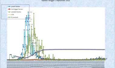 Situasi Terkini Perkembangan Kasus Coronavirus Disease (COVID-19) di Kota Padang 1 September 2022