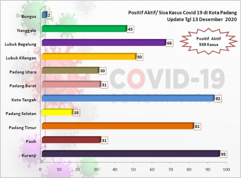 Situasi Terkini Perkembangan Kasus Coronavirus Disease (COVID-19) di Kota Padang_13 Desember 2020 Update Pukul 14.00 WIB